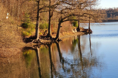 SK-Spiegelung