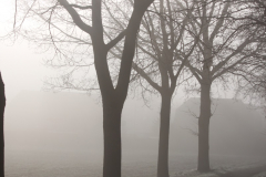 Nebel