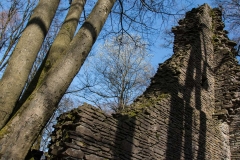 AHo-Burg-Neuenberg
