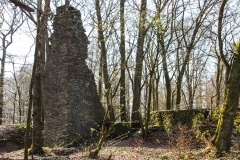 AHo-Burg-Neuenburg-2