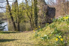 AHo-Ruine-Eibach-4