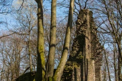 Aho-Burg-Neuenberg3