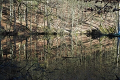 HR-2158305