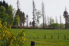 HR-4244012
