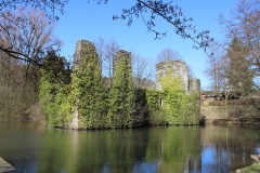 Ruine-Eibach