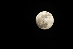 201802-Mond-1304817
