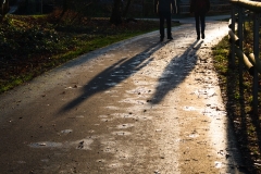 20200111-OLYMPUS DIGITAL CAMERA