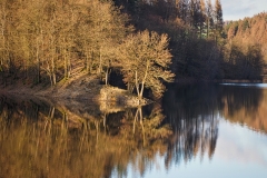 20191218-OLYMPUS DIGITAL CAMERA