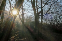 Sonnenstrahlen-1