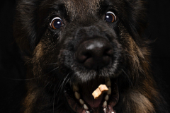 KF-Kelly-Schnappfoto