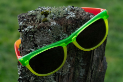 Quartalsfoto-Brille