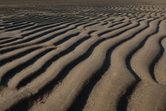 QUARTALSFOTO-im-Sand