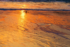 Gold-Plage-des-Amiets-vk-DSCF9114