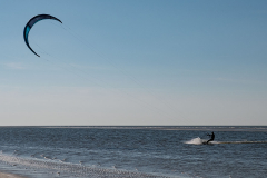 Windsurfer