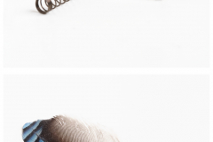 2FCollage KK