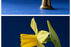 Glocke-collage