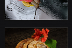 Schnecke