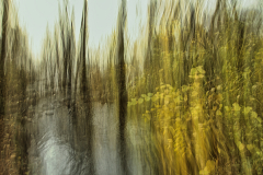 ICM-am-Bach