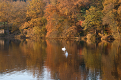 Final_herbst_Agger