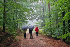 Regenwanderung