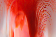 Abstact-Macro-9023
