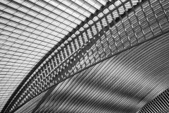 Abstrakt_sw