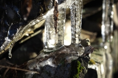 Frost-1207653kl