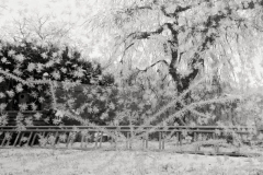 SK-Winterzauber