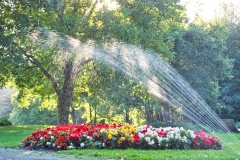 7-Wasser-Blumen