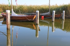 am-Hafen