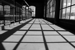 Licht-und-Schatten