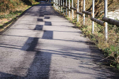 Schatten-5904