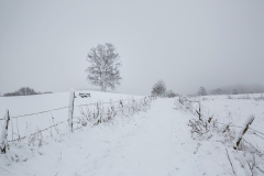 Schneefoto