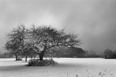 schneefoto1