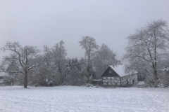 schneefoto2