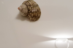 20211014_211525