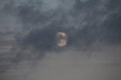 Mond