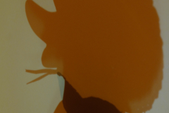 Schatten-b