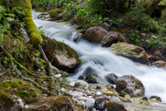 Fluss