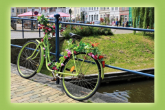 1_Fahrrad