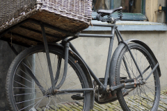 P1050091-Fahrrad