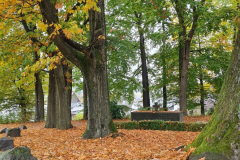 Herbst