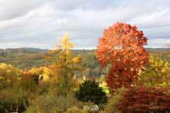 Herbst1