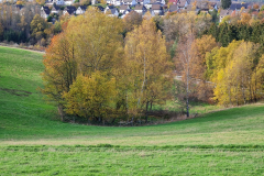 Teil-von-Alferzhagen