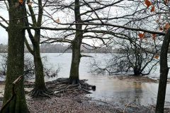 Viel-Wasser-an-der-Brucher
