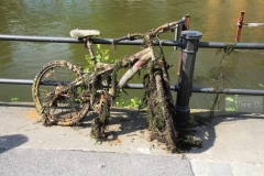 Waterbike